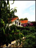 Apartmani ANA_MARIJA VELA STINIVA