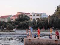 Apartmani ANITA PUNTA SKALA PETR�ANE PETR�ANE