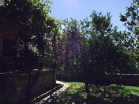 Apartmani Divic Ba�ka Voda