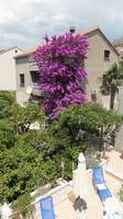 Apartmani Fabris DUBROVNIK