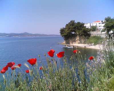 Apartmani SEA STAR Zadar