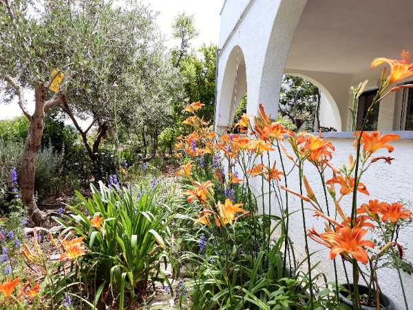 Ferienwohnungen Milenka Mali Lošinj